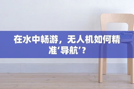 在水中畅游，无人机如何精准‘导航’？