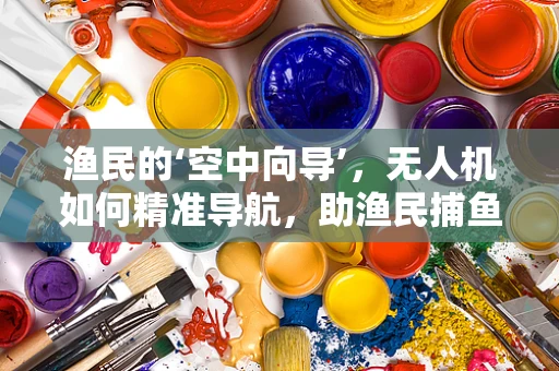 渔民的‘空中向导’，无人机如何精准导航，助渔民捕鱼更高效？