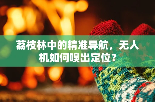 荔枝林中的精准导航，无人机如何嗅出定位？