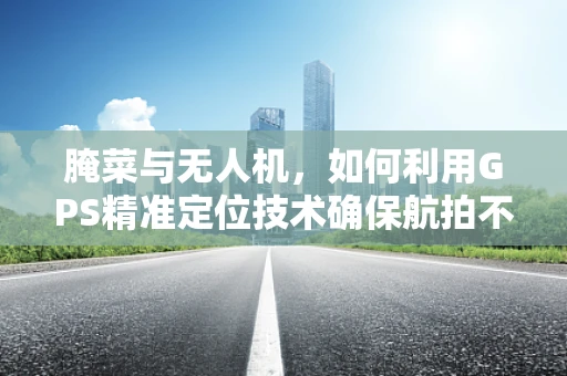 腌菜与无人机，如何利用GPS精准定位技术确保航拍不‘偏’？