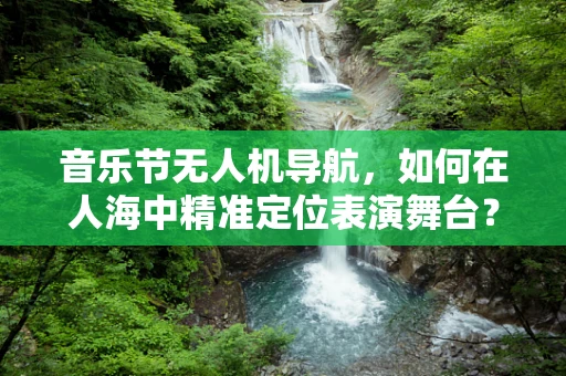 音乐节无人机导航，如何在人海中精准定位表演舞台？