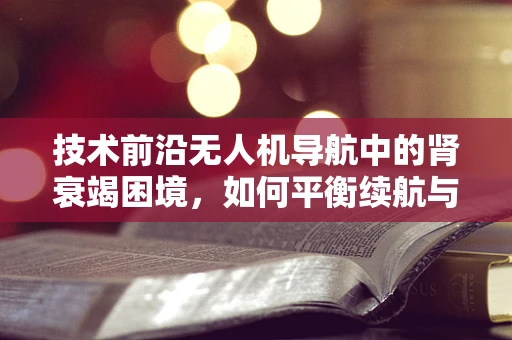 技术前沿无人机导航中的肾衰竭困境，如何平衡续航与精准定位？