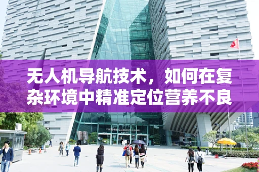 无人机导航技术，如何在复杂环境中精准定位营养不良的挑战？
