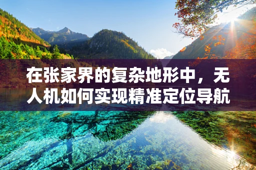 在张家界的复杂地形中，无人机如何实现精准定位导航？