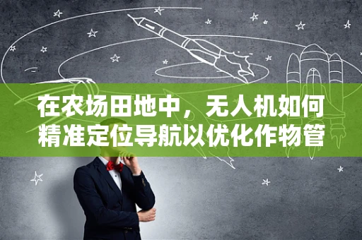 在农场田地中，无人机如何精准定位导航以优化作物管理？