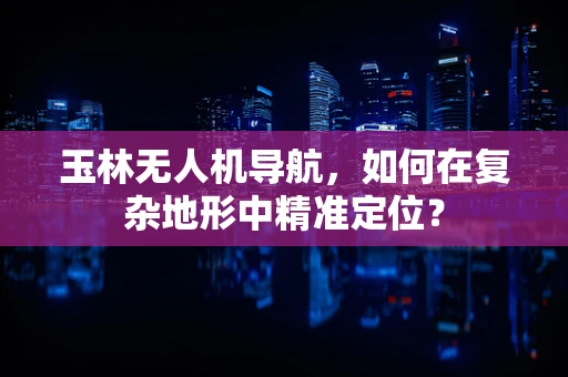 玉林无人机导航，如何在复杂地形中精准定位？