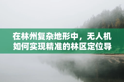 在林州复杂地形中，无人机如何实现精准的林区定位导航？