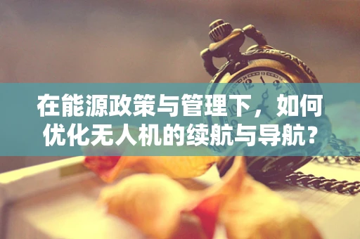 在能源政策与管理下，如何优化无人机的续航与导航？