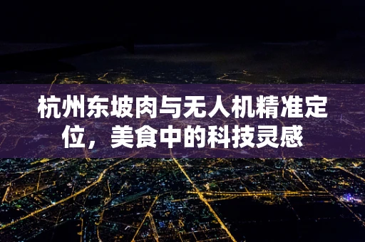 杭州东坡肉与无人机精准定位，美食中的科技灵感