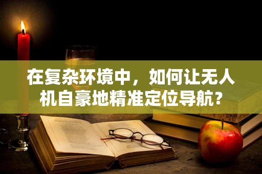 在复杂环境中，如何让无人机自豪地精准定位导航？