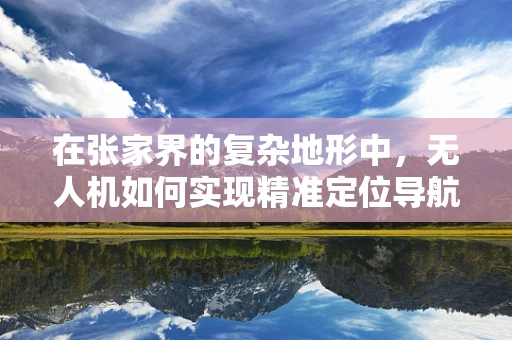 在张家界的复杂地形中，无人机如何实现精准定位导航？