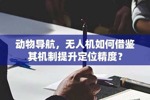 动物导航，无人机如何借鉴其机制提升定位精度？