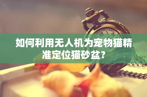 如何利用无人机为宠物猫精准定位猫砂盆？