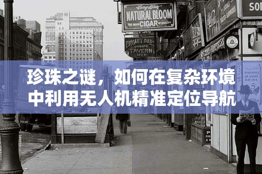 珍珠之谜，如何在复杂环境中利用无人机精准定位导航？