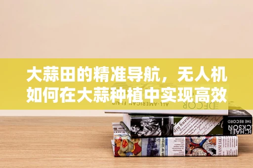 大蒜田的精准导航，无人机如何在大蒜种植中实现高效定位？
