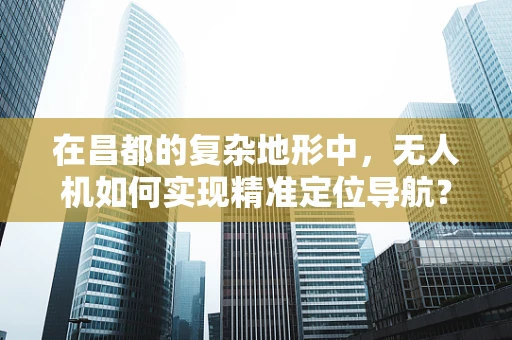 在昌都的复杂地形中，无人机如何实现精准定位导航？