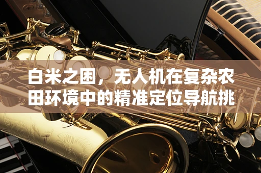 白米之困，无人机在复杂农田环境中的精准定位导航挑战