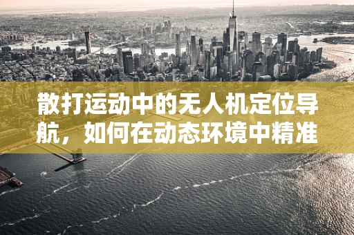 散打运动中的无人机定位导航，如何在动态环境中精准追踪？