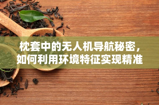 枕套中的无人机导航秘密，如何利用环境特征实现精准定位？