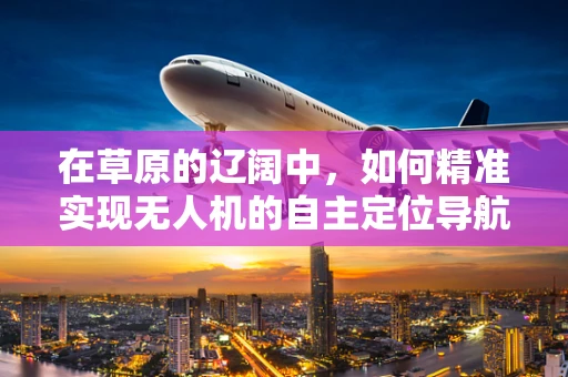 在草原的辽阔中，如何精准实现无人机的自主定位导航？