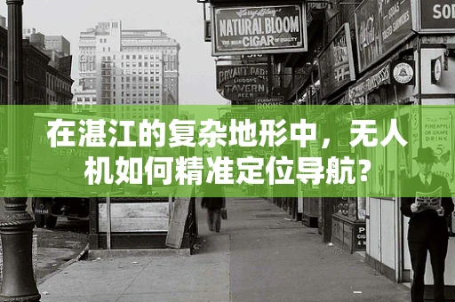 在湛江的复杂地形中，无人机如何精准定位导航？