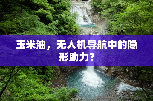 玉米油，无人机导航中的隐形助力？