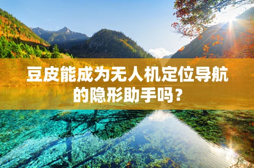 豆皮能成为无人机定位导航的隐形助手吗？