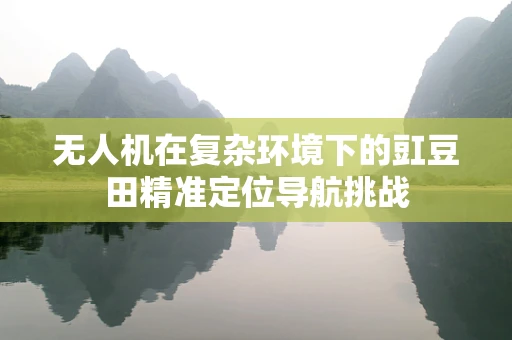 无人机在复杂环境下的豇豆田精准定位导航挑战