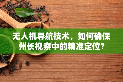 无人机导航技术，如何确保州长视察中的精准定位？