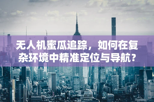 无人机蜜瓜追踪，如何在复杂环境中精准定位与导航？