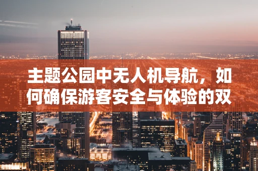 主题公园中无人机导航，如何确保游客安全与体验的双重提升？