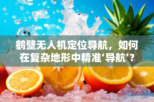 鹤壁无人机定位导航，如何在复杂地形中精准‘导航’？