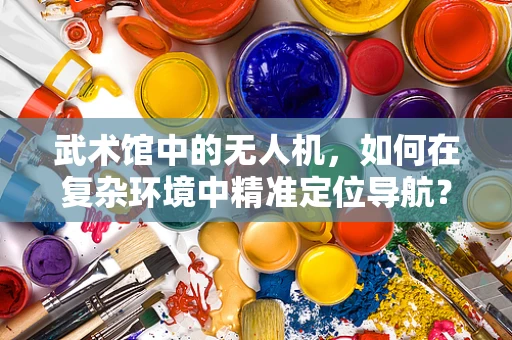 武术馆中的无人机，如何在复杂环境中精准定位导航？