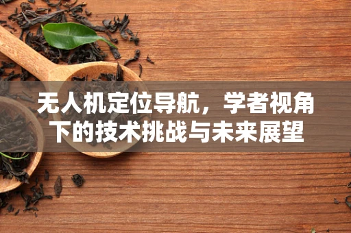 无人机定位导航，学者视角下的技术挑战与未来展望