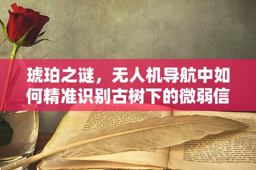 琥珀之谜，无人机导航中如何精准识别古树下的微弱信号？
