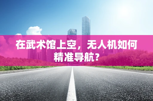 在武术馆上空，无人机如何精准导航？