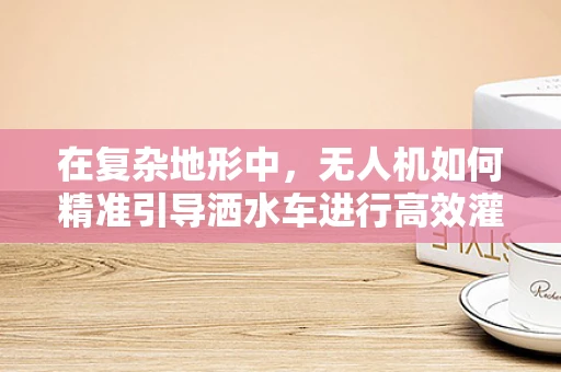 在复杂地形中，无人机如何精准引导洒水车进行高效灌溉？
