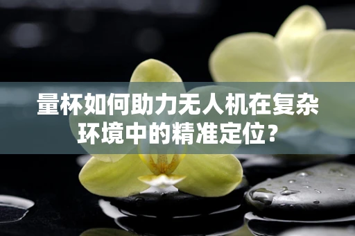 量杯如何助力无人机在复杂环境中的精准定位？