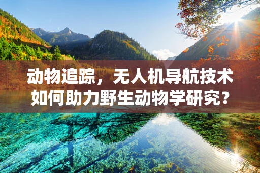 动物追踪，无人机导航技术如何助力野生动物学研究？
