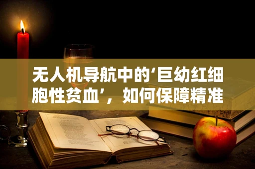 无人机导航中的‘巨幼红细胞性贫血’，如何保障精准定位？