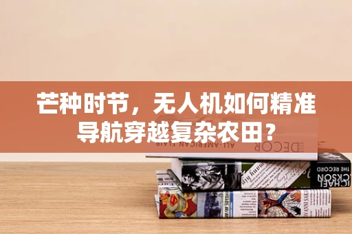芒种时节，无人机如何精准导航穿越复杂农田？