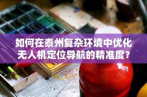 如何在泰州复杂环境中优化无人机定位导航的精准度？