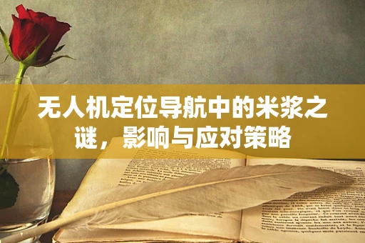 无人机定位导航中的米浆之谜，影响与应对策略
