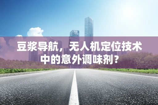 豆浆导航，无人机定位技术中的意外调味剂？