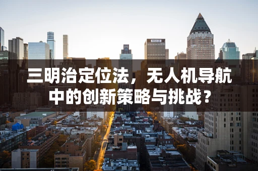 三明治定位法，无人机导航中的创新策略与挑战？
