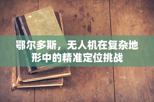 鄂尔多斯，无人机在复杂地形中的精准定位挑战