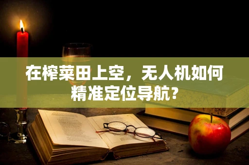 在榨菜田上空，无人机如何精准定位导航？