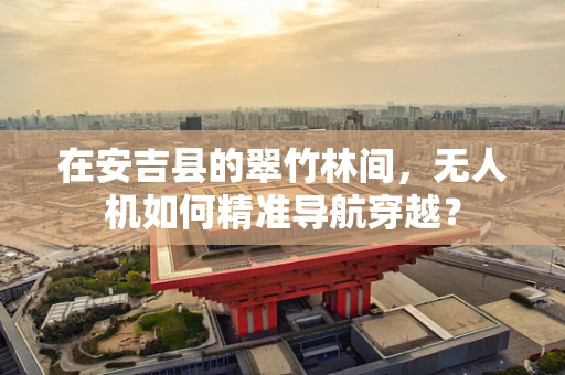 在安吉县的翠竹林间，无人机如何精准导航穿越？
