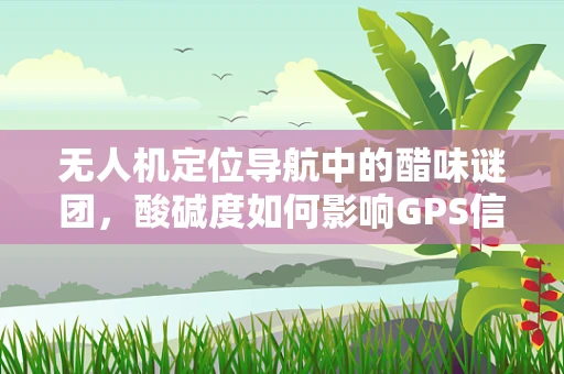 无人机定位导航中的醋味谜团，酸碱度如何影响GPS信号接收？