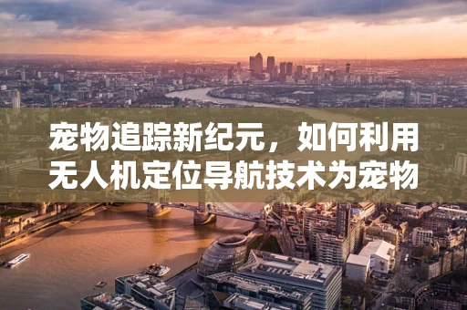 宠物追踪新纪元，如何利用无人机定位导航技术为宠物用品带来革命性创新？